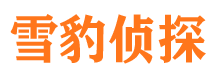 玉树外遇调查取证